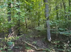 SOLD!! 0.88+/-acre wooded lot on Mullins Cove Road in Whitwell TN.