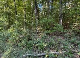 SOLD!! 0.88+/-acre wooded lot on Mullins Cove Road in Whitwell TN.