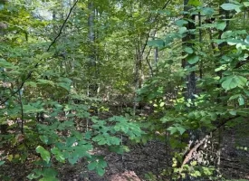 SOLD!! 0.88+/-acre wooded lot on Mullins Cove Road in Whitwell TN.