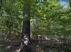 SOLD!! 0.88+/-acre wooded lot on Mullins Cove Road in Whitwell TN.