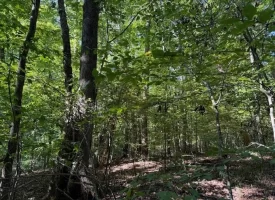 SOLD!! 0.88+/-acre wooded lot on Mullins Cove Road in Whitwell TN.