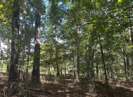 1.3+/-acre wooded property in the heart of Tracy City, TN