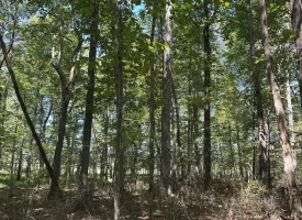 1.3+/-acre wooded property in the heart of Tracy City, TN
