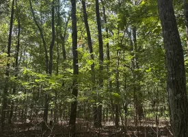 1.3+/-acre wooded property in the heart of Tracy City, TN