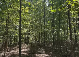 1.3+/-acre wooded property in the heart of Tracy City, TN