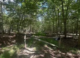 1.3+/-acre wooded property in the heart of Tracy City, TN
