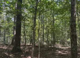 1.3+/-acre wooded property in the heart of Tracy City, TN