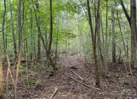 42.14+/-acres Off the Grid Wooded Property