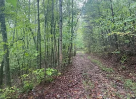 42.14+/-acres Off the Grid Wooded Property