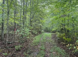 42.14+/-acres Off the Grid Wooded Property