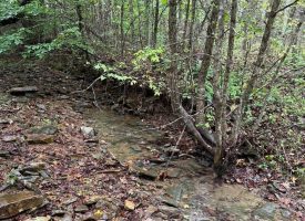 49.34+/-acres Unrestricted Wooded Hunting tract in Palmer TN