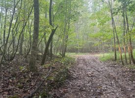 49.34+/-acres Unrestricted Wooded Hunting tract in Palmer TN