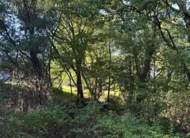 1.60+/-acres this unrestricted property Bring your RV Or Mobile Home