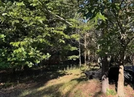 1.60+/-acres this unrestricted property Bring your RV Or Mobile Home