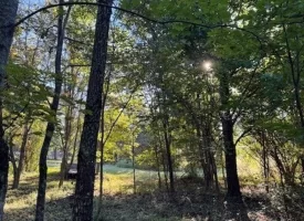 1.60+/-acres this unrestricted property Bring your RV Or Mobile Home