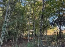 1.60+/-acres this unrestricted property Bring your RV Or Mobile Home