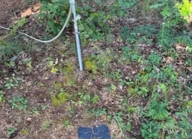 1.60+/-acres this unrestricted property Bring your RV Or Mobile Home