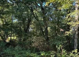 1.60+/-acres this unrestricted property Bring your RV Or Mobile Home