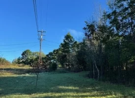 1.60+/-acres this unrestricted property Bring your RV Or Mobile Home
