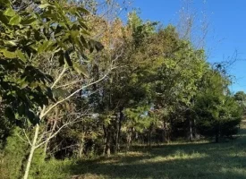 1.60+/-acres this unrestricted property Bring your RV Or Mobile Home