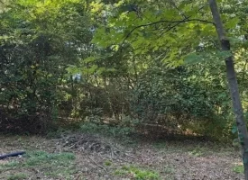 1.60+/-acres this unrestricted property Bring your RV Or Mobile Home