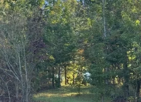 1.60+/-acres this unrestricted property Bring your RV Or Mobile Home