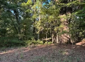1.60+/-acres this unrestricted property Bring your RV Or Mobile Home