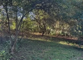 1.60+/-acres this unrestricted property Bring your RV Or Mobile Home