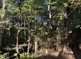 1.60+/-acres this unrestricted property Bring your RV Or Mobile Home