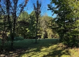 1.60+/-acres this unrestricted property Bring your RV Or Mobile Home