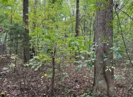 5.97+/-acres Unrestricted wooded Property in Madisonville TN