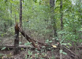 5.97+/-acres Unrestricted wooded Property in Madisonville TN