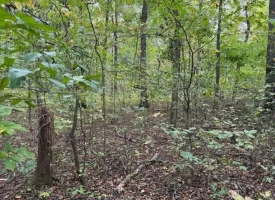 5.97+/-acres Unrestricted wooded Property in Madisonville TN