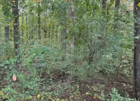 5.97+/-acres Unrestricted wooded Property in Madisonville TN