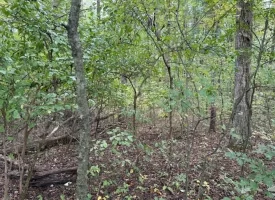 5.97+/-acres Unrestricted wooded Property in Madisonville TN