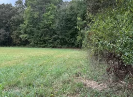 5.04+/-acres Unrestricted property with Pasture and Woods