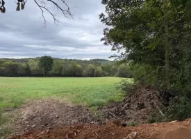 5.04+/-acres Unrestricted property with Pasture and Woods