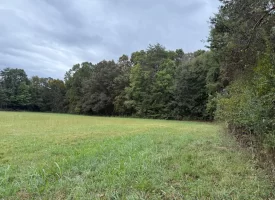 5.04+/-acres Unrestricted property with Pasture and Woods