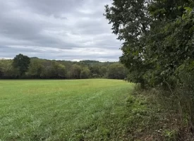 5.04+/-acres Unrestricted property with Pasture and Woods
