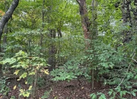 5.04+/-acres Unrestricted property with Pasture and Woods