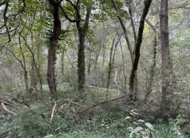 5.00+/-acres Unrestricted Property in Madisonville TN