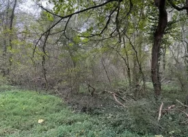 5.00+/-acres Unrestricted Property in Madisonville TN