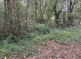 5.00+/-acres Unrestricted Property in Madisonville TN