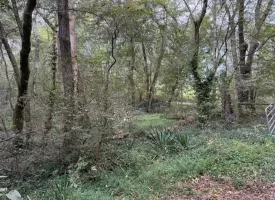 5.00+/-acres Unrestricted Property in Madisonville TN