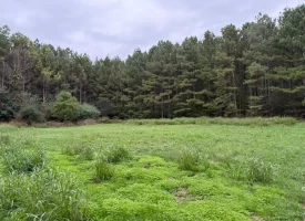 22.42+/-acres Unrestricted with mixture of Pasture and Woods