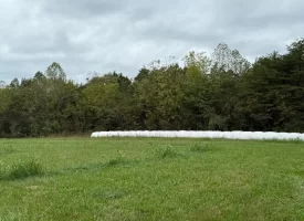 22.42+/-acres Unrestricted with mixture of Pasture and Woods