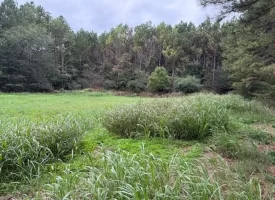 22.42+/-acres Unrestricted with mixture of Pasture and Woods