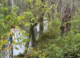 22.42+/-acres Unrestricted with mixture of Pasture and Woods