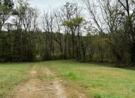 22.42+/-acres Unrestricted with mixture of Pasture and Woods