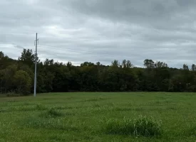 22.42+/-acres Unrestricted with mixture of Pasture and Woods